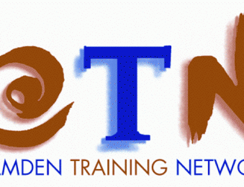 Interim CEO: Camden Training Network, London