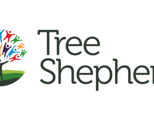 Tree Shepherd